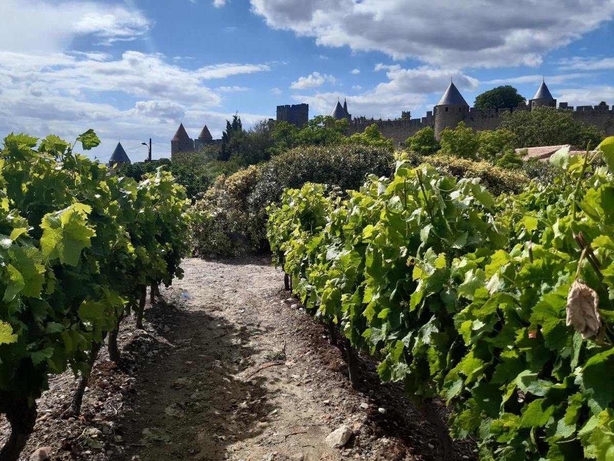 Domaine Fontgrande Carcassonne