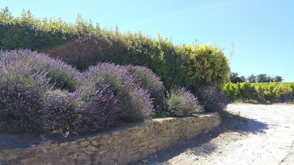 Domaine Fontgrande Hébergement de vacances